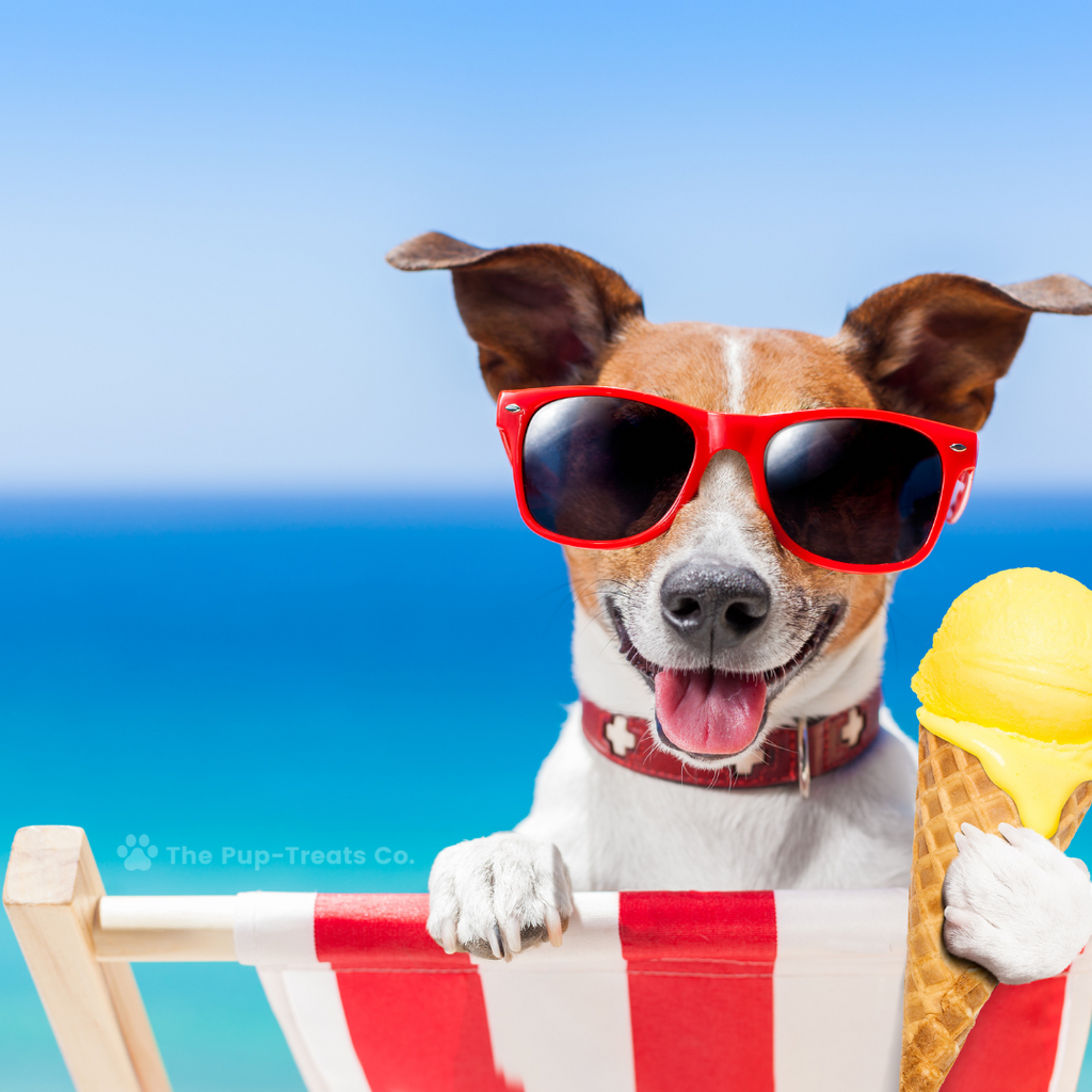 Tips for Keeping Your Pets Cool and Happy During Hot Summer Days